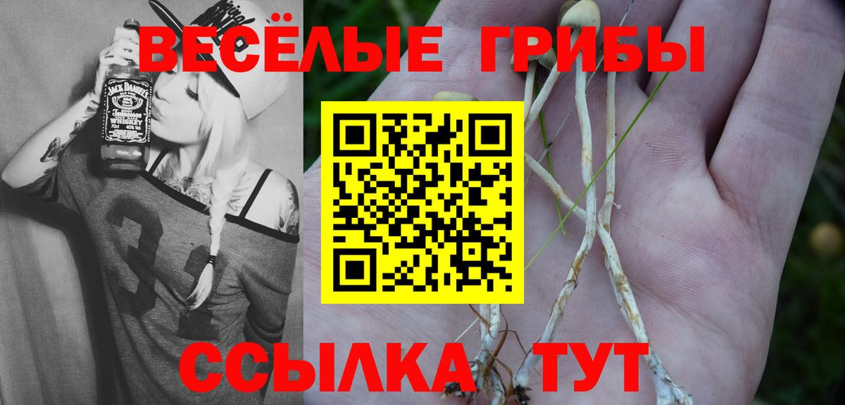 Галлюциногенные грибы Magic Shrooms Донской